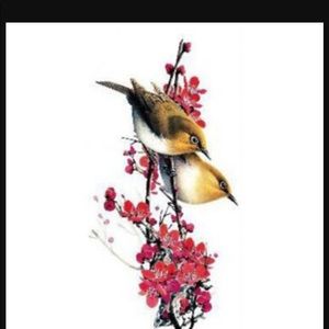 Meet your Posher, Erika